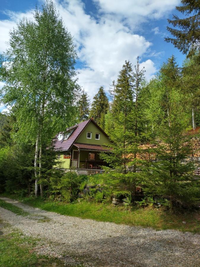 Green House جورجيني المظهر الخارجي الصورة