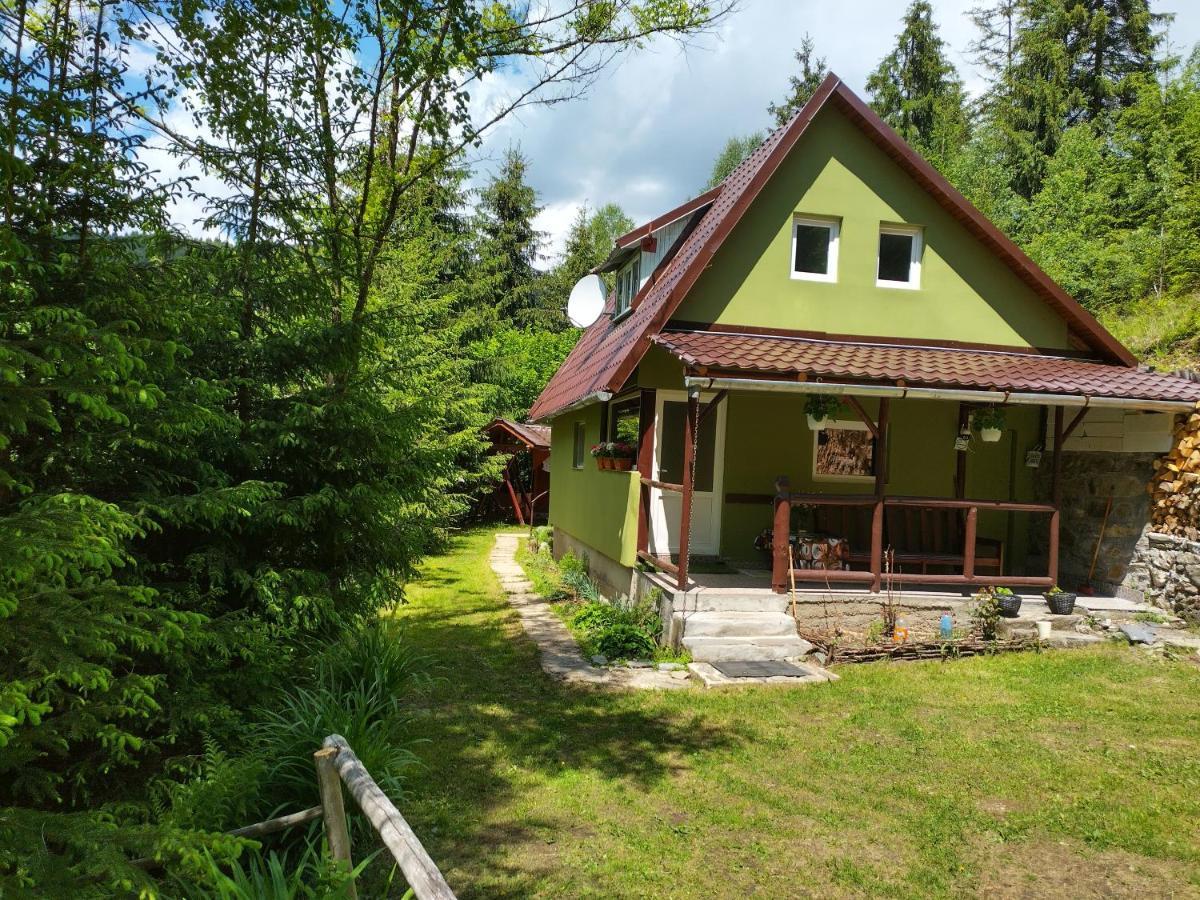 Green House جورجيني المظهر الخارجي الصورة